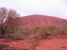 uluru3
