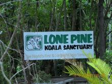 Lone Pine