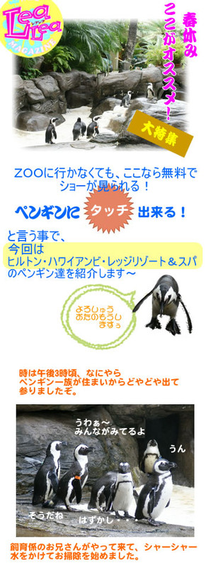 penguin_1