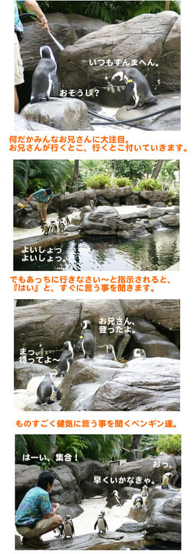 penguin_2