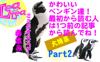 penguin_part2_title