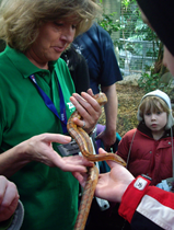 zoo4