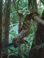 zoo10