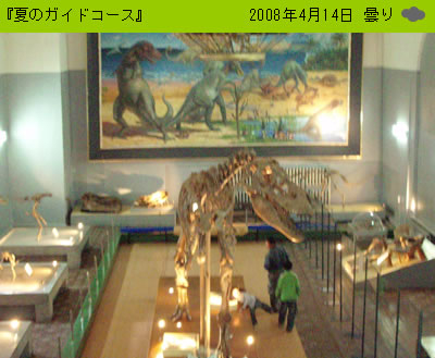 Azaaのモンゴル紹介ブログ