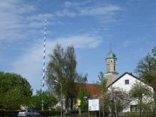 maibaum 2