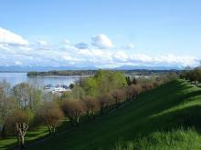 Landschaft