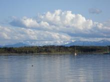 Landschaft 3