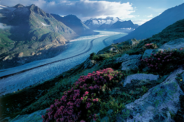 Aletschgletscher