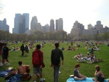 Park