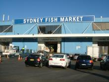 fishmarket