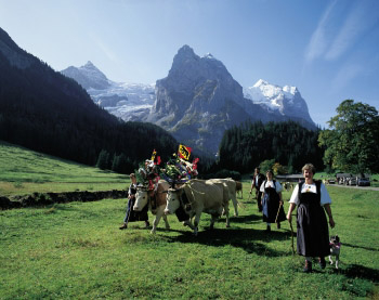 スイス　旅　夏旅行