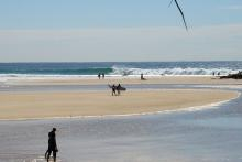 Currumbin Beach