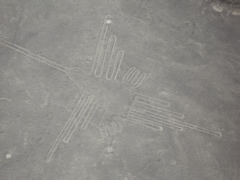 nazca4