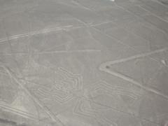 nazca5