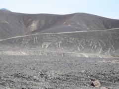 palpa