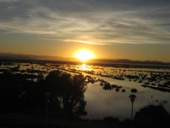 puno