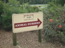 ANIMAL NURSERY