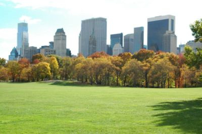 CENTRAL PARK1
