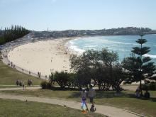 bondi　beach
