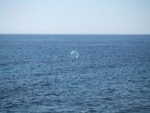 海の上にも