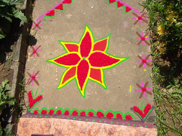 フィジー観光ブログ Diwali ディワリ ライト インド人家庭訪問ツアー２００８