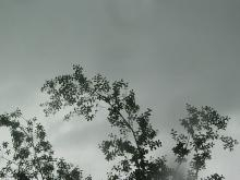 ひょうの空
