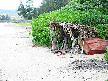 マヌー式　地球の遊び方-ドラマ「ＬＯＳＴ」のビーチ