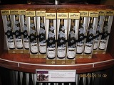 H.I.S.トロント支店  メープルライフ♪
