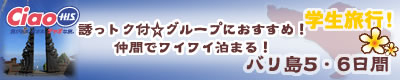 H.I.S.バリ島支店 ～バリフリークへの道～