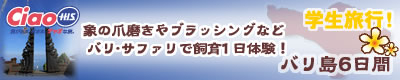 H.I.S.バリ島支店 ～バリフリークへの道～