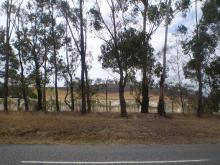 H.I.S.メルボルン支店のページ　　　　　　　　　　　　　☆Southern Cross City☆-Yarra Glen