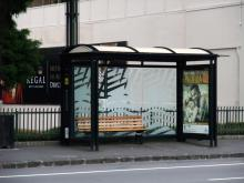 H.I.S.オークランド支店の日記