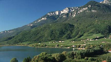H.I.S.イタリア支店　♪カプチーノ天国♪-altoadige 1