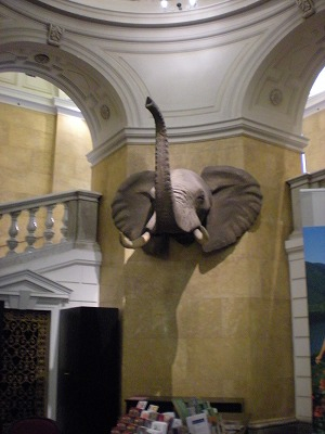 H.I.S.ウィーン支店 ~ Wien~-Natur 4