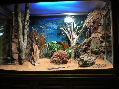 H.I.S.ウィーン支店 ~ Wien~-Natur 1