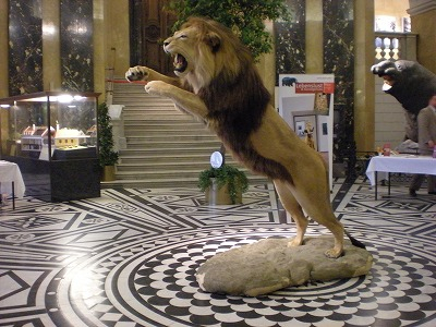 H.I.S.ウィーン支店 ~ Wien~-Natur 3