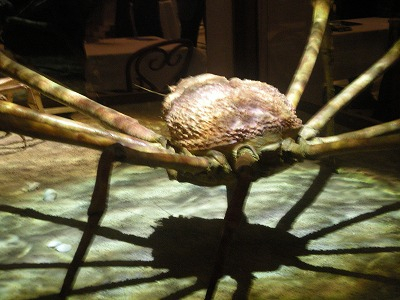 H.I.S.ウィーン支店　～ Wien～-Natur 11