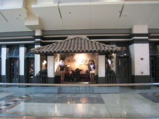 H.I.S. ニューヨーク支店便り
