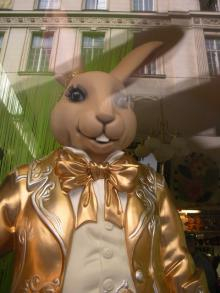 H.I.S.ウィーン支店　～ Wien～-うさぎ