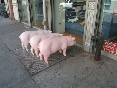H.I.S. ニューヨーク支店便り