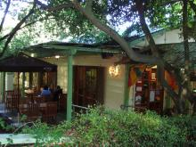 H.I.S.メルボルン支店のページ ☆Southern Cross City☆-bushの中のcafe1