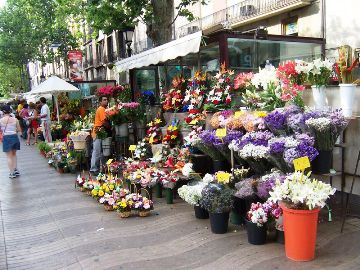 H.I.S.イタリア支店　♪カプチーノ天国♪-Barcelona 1