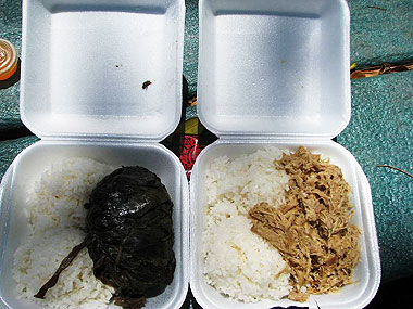 山下マヌーの マヌー式地球の遊び方-プレートランチ二つ、ラウラウ(左)とカルアピグ