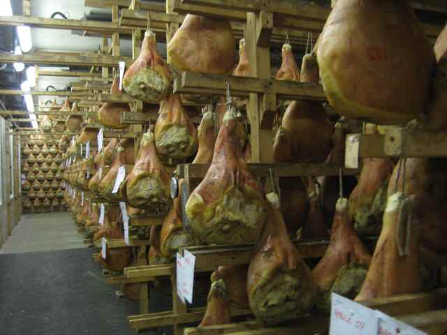 H.I.S.イタリア支店　♪カプチーノ天国♪-MONTAGNANA06