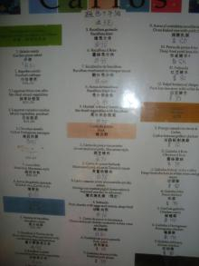 H.I.S.マカオ支店