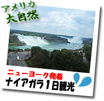H.I.S. ニューヨーク支店便り