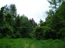 H.I.S.ウィーン支店　～ Wien～-Wien Forest 13