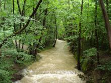 H.I.S.ウィーン支店　～ Wien～-Wien Forest 14