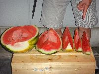 海外でスポーツ!ブログ