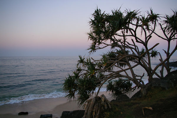 バーレイヘッズ　Burleigh Heads